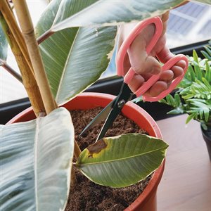 Mini Houseplant Scissors
