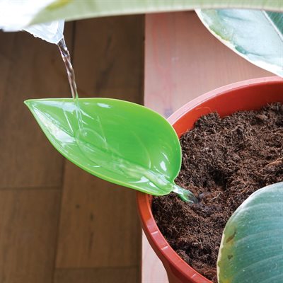 Foliage Funnel