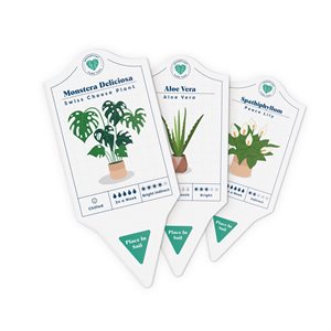 Étiquettes de soins des plantes d'intérieur(Anglais)
